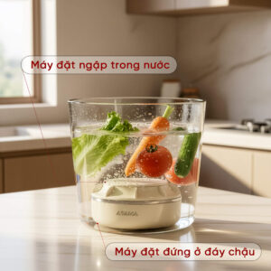 máy rửa và khử khuẩn thực phẩm (1)